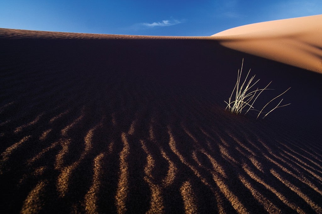 Sand ripples