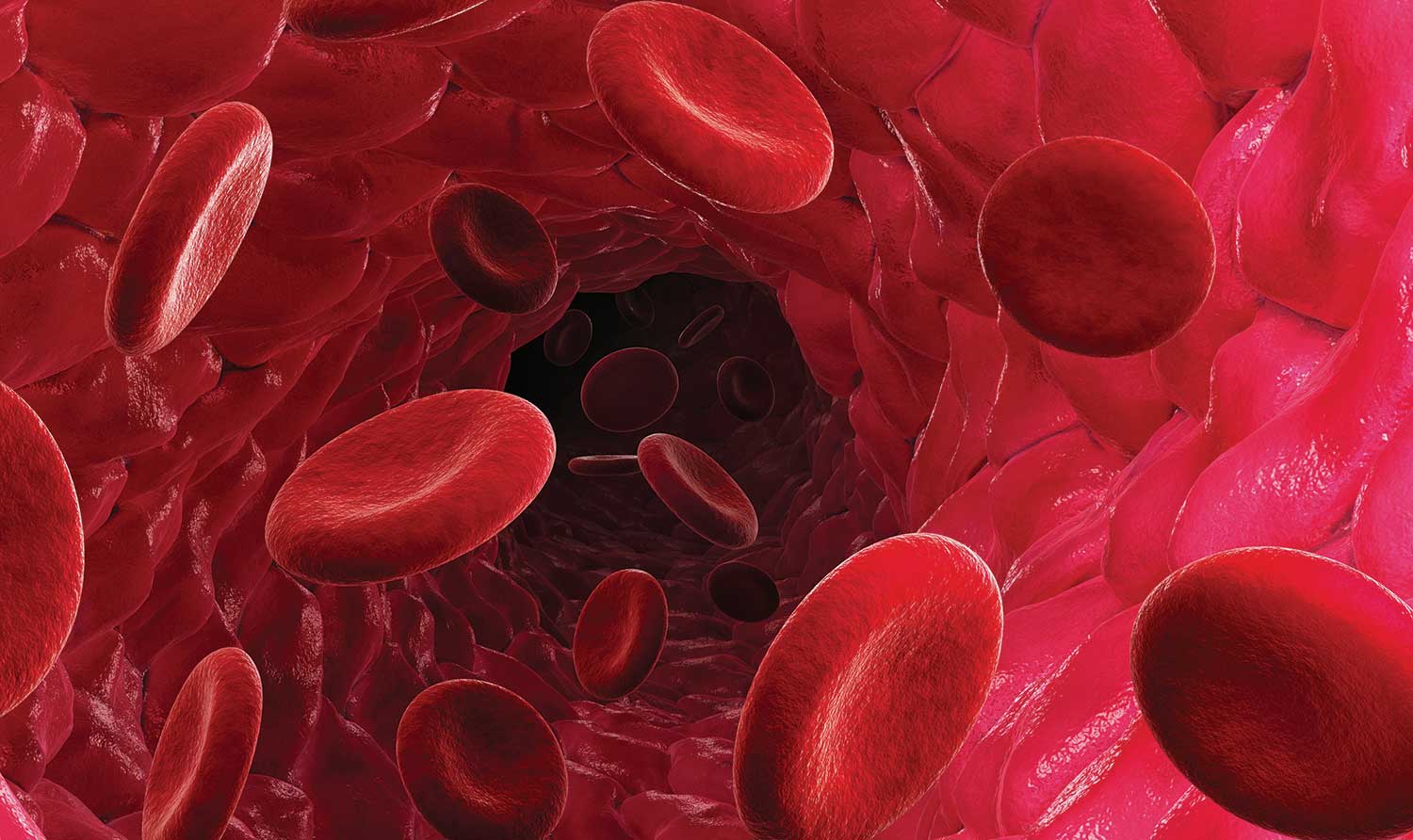 red blood cells