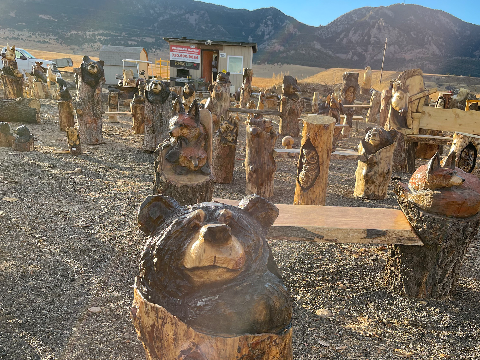 Bar on the Edge of Boulder Is Full of Surprises | Alumni