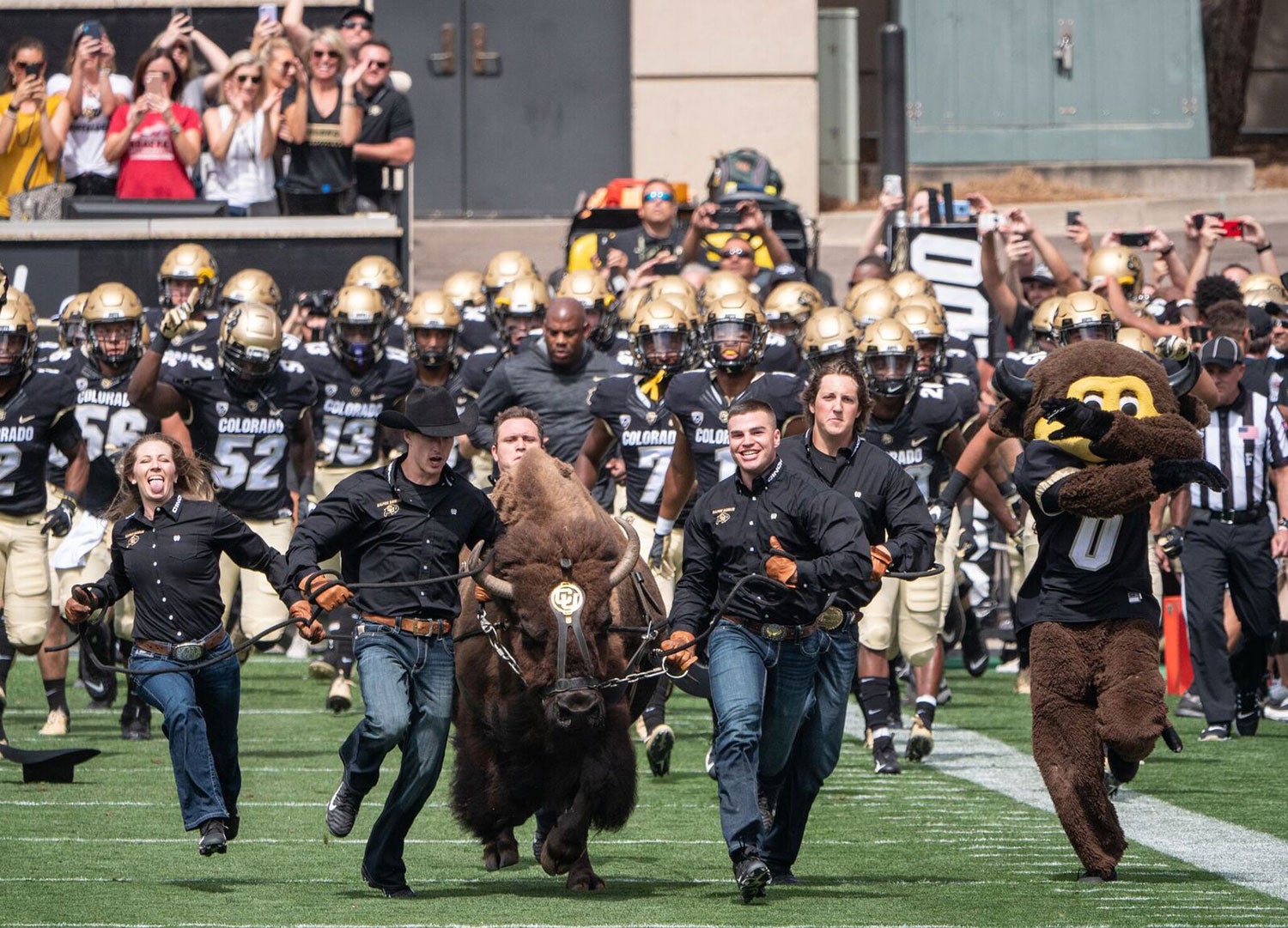 Ralphie V Retires | Alumni Association | University of Colorado Boulder