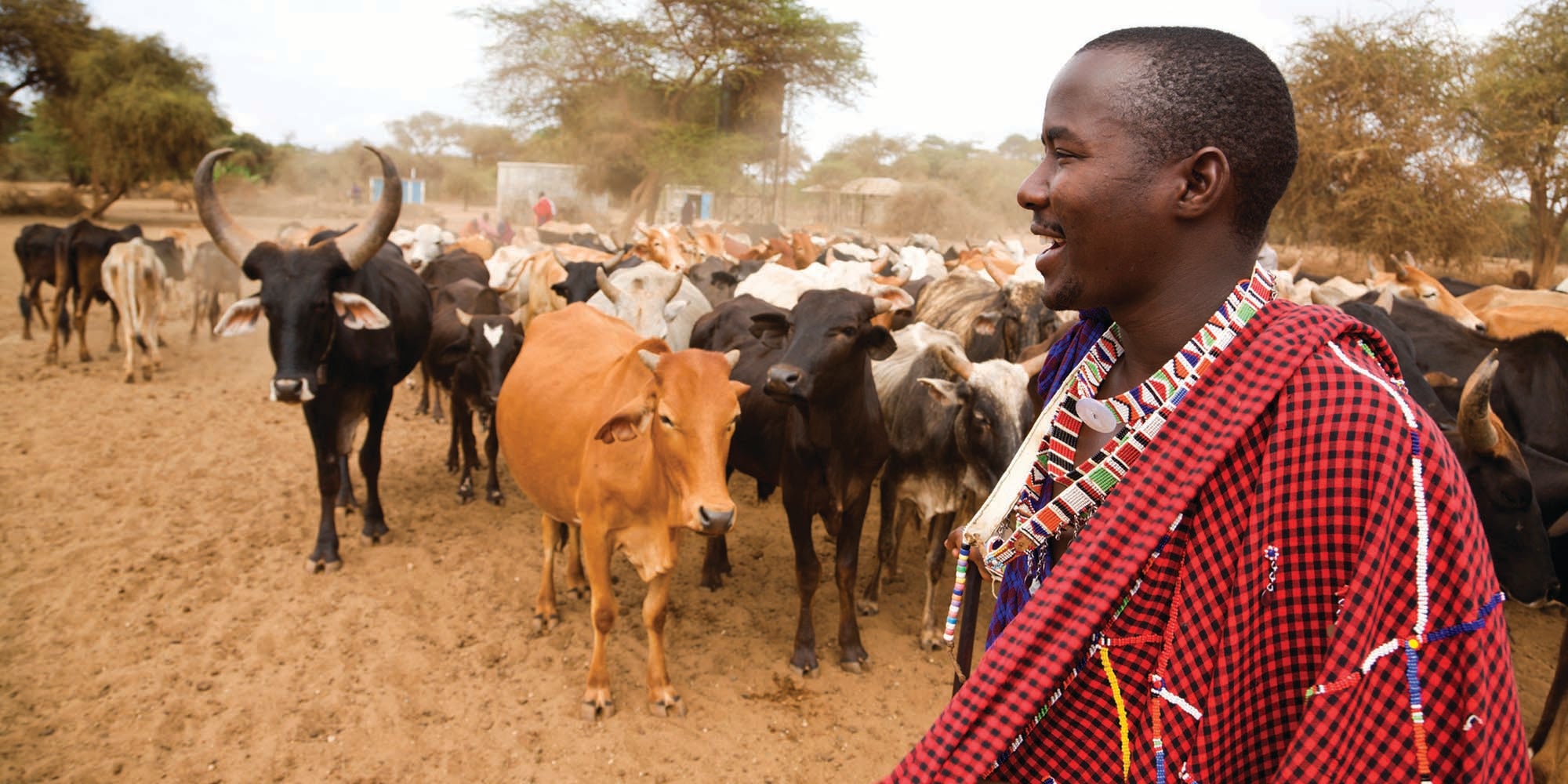 East African pastoralists