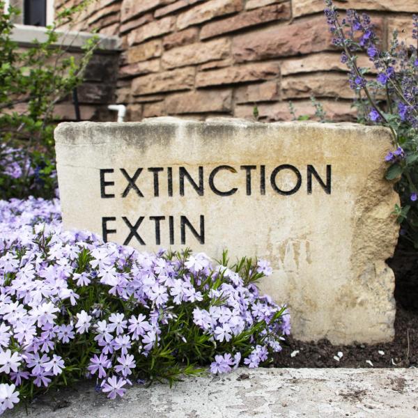 Extinction inscription