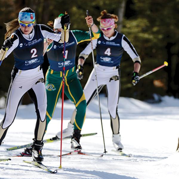 2013 Skiing champions