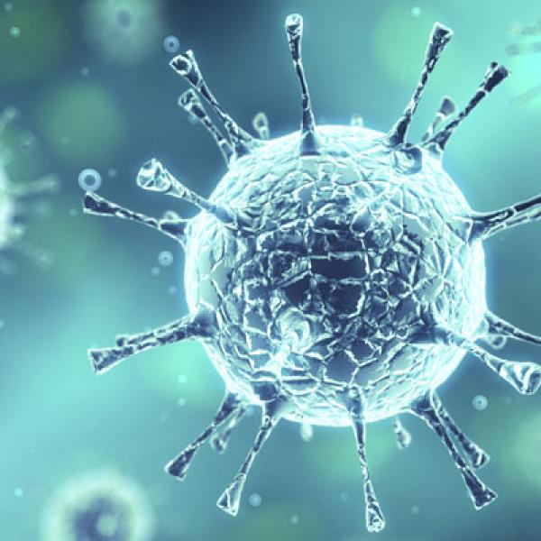 virus