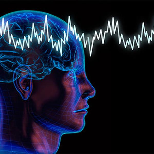brain with parkinsons