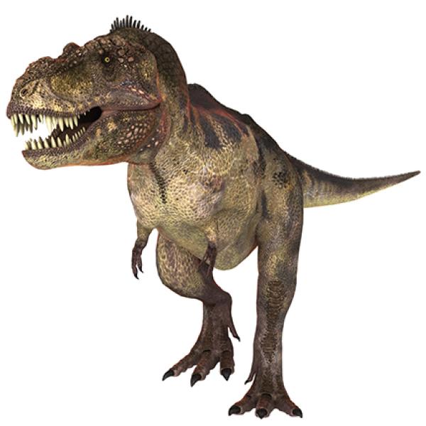 dinosaur