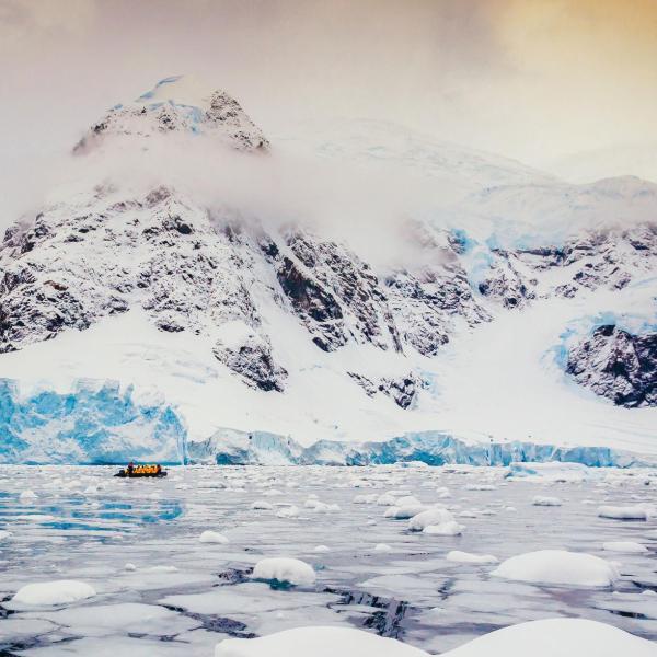 Buffs in Antarctica