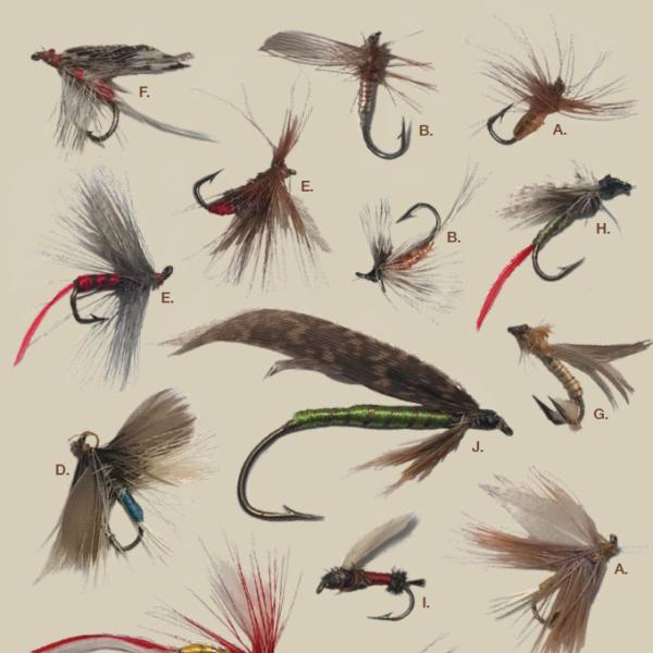 George Norlin fly fishing collection