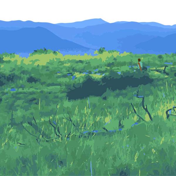 Mountain Art