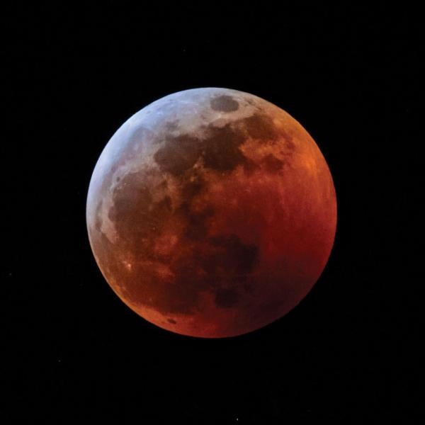Photo of the Blood Wolf Moon