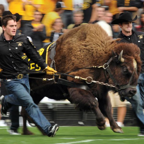 ralphie running