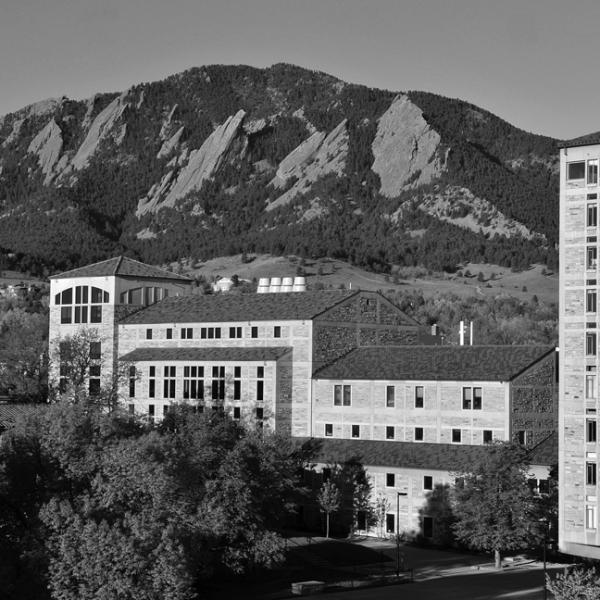 view of campus black and white