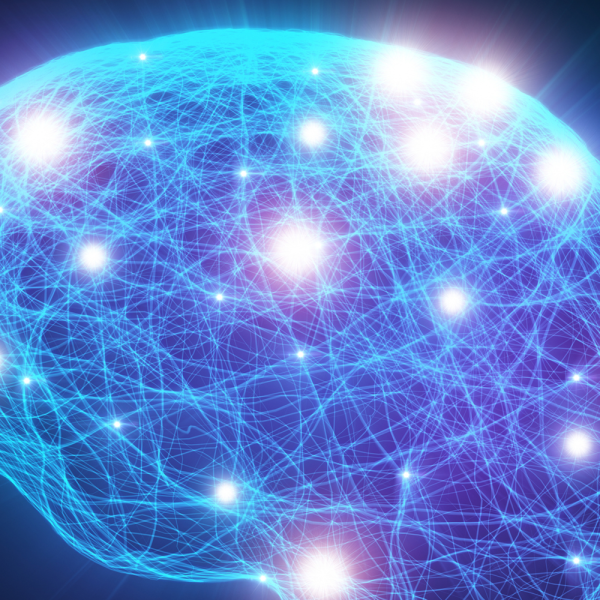 Image of the brain