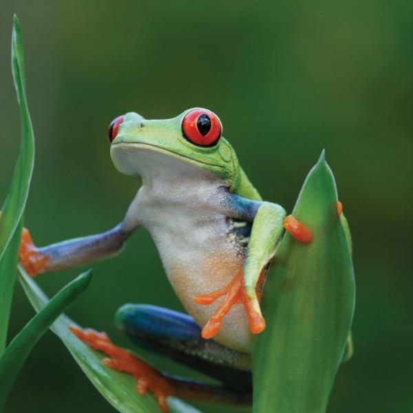Costa Rica