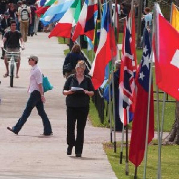 flags for conference world affairs