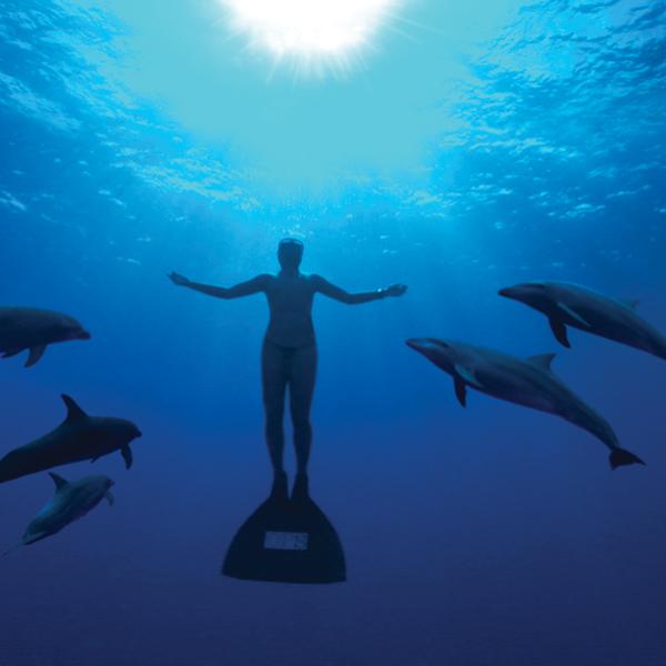 the cove