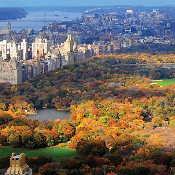 NYC's Central Park