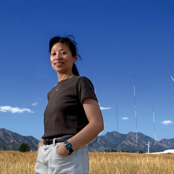 wind farm