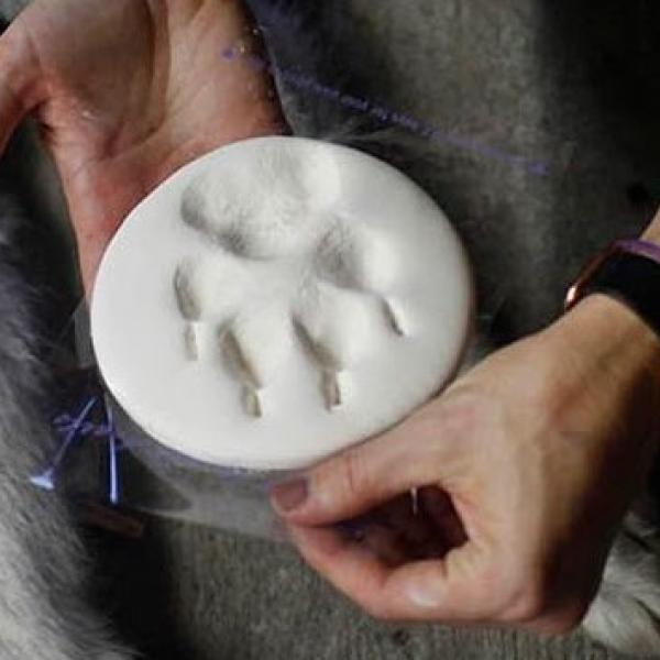 Paw Imprint