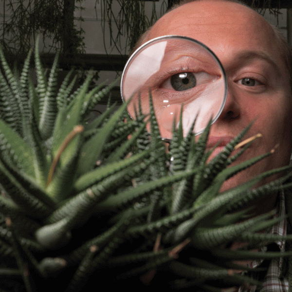man looking through a magnifying glass