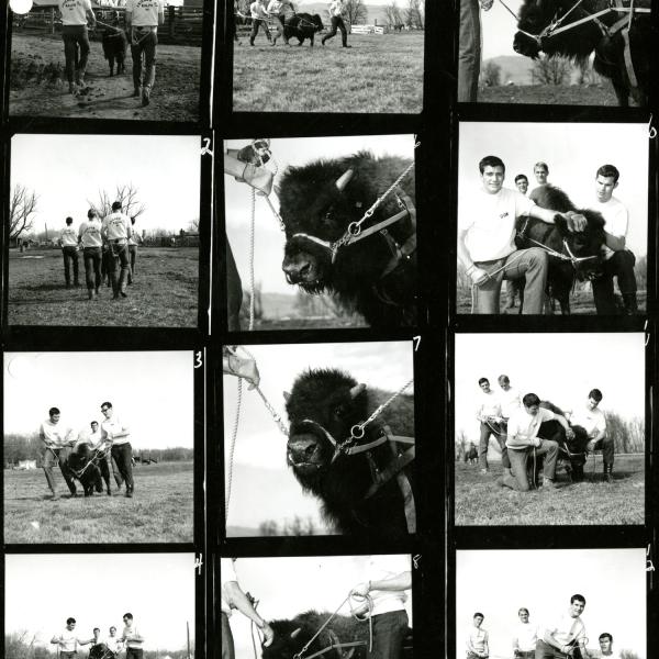 ralphie contact sheet