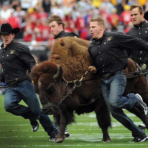 ralphie running