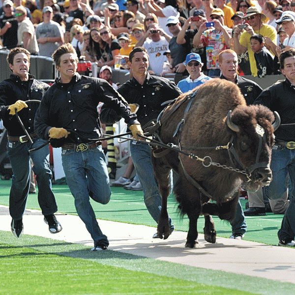 Ralphie Runners