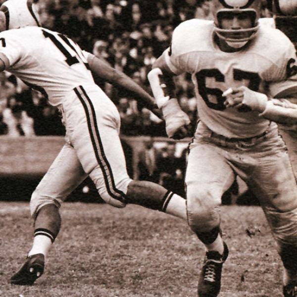 Joe romig
