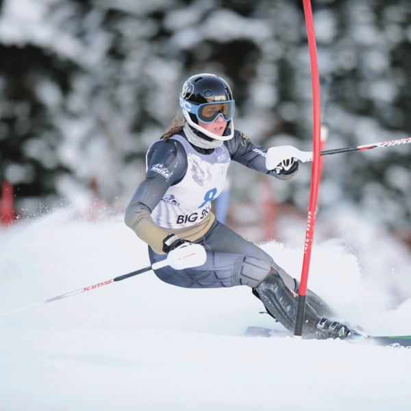 Skier