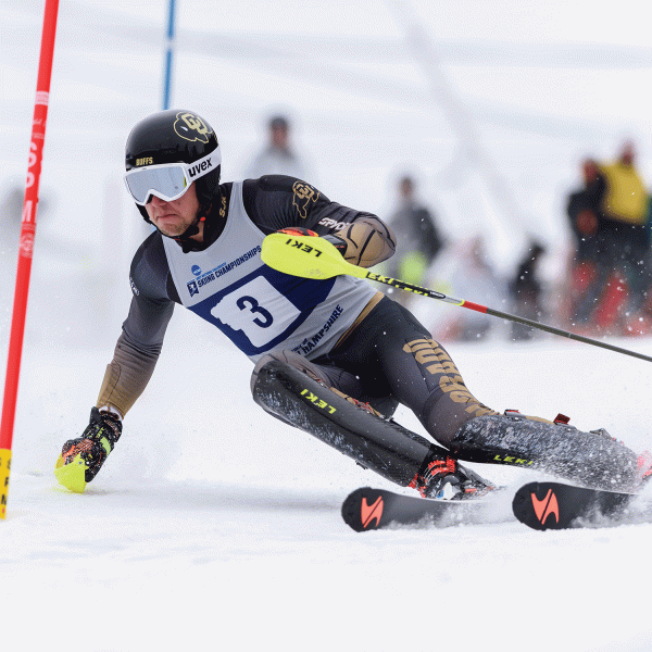skier