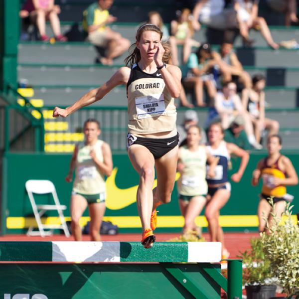 Kipp steeplechase