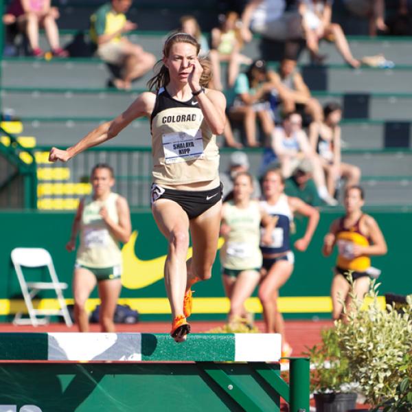 Kipp steeplechase