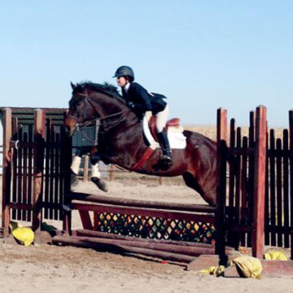 equestrian team