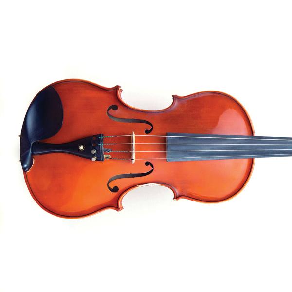 violin