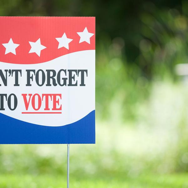 vote lawn sign