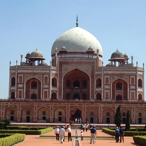 Wild India