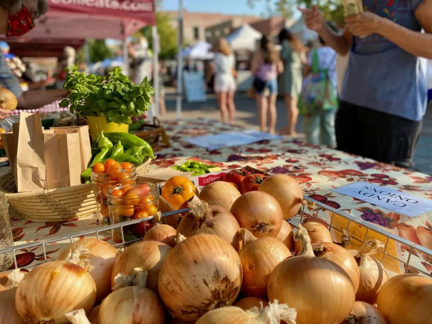 Boulder Farmers Market
