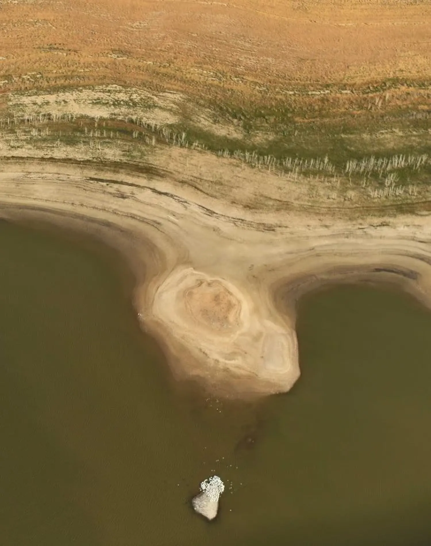 Western water
