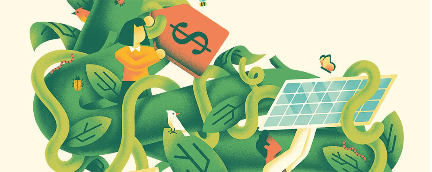 Sustainability startups at CU Boulder