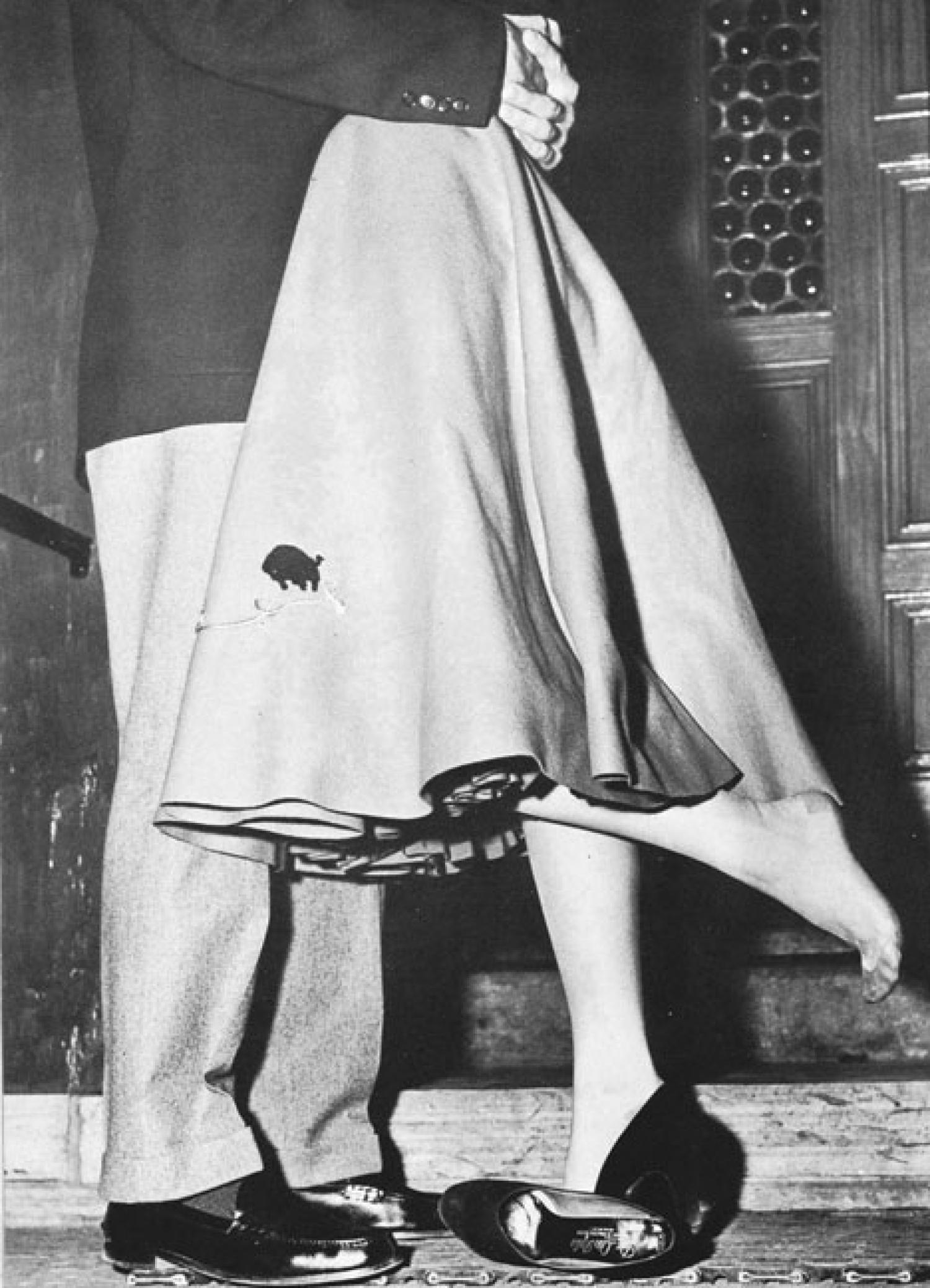 poodle skirt