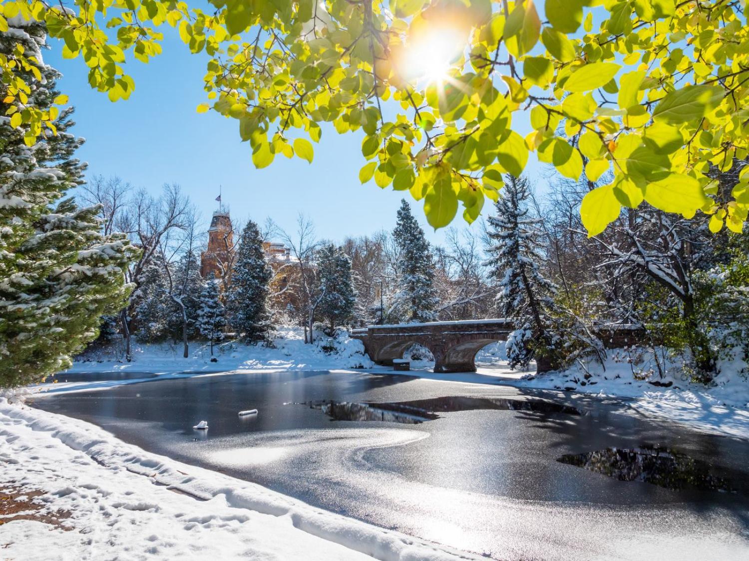 Campus shot of University Pond