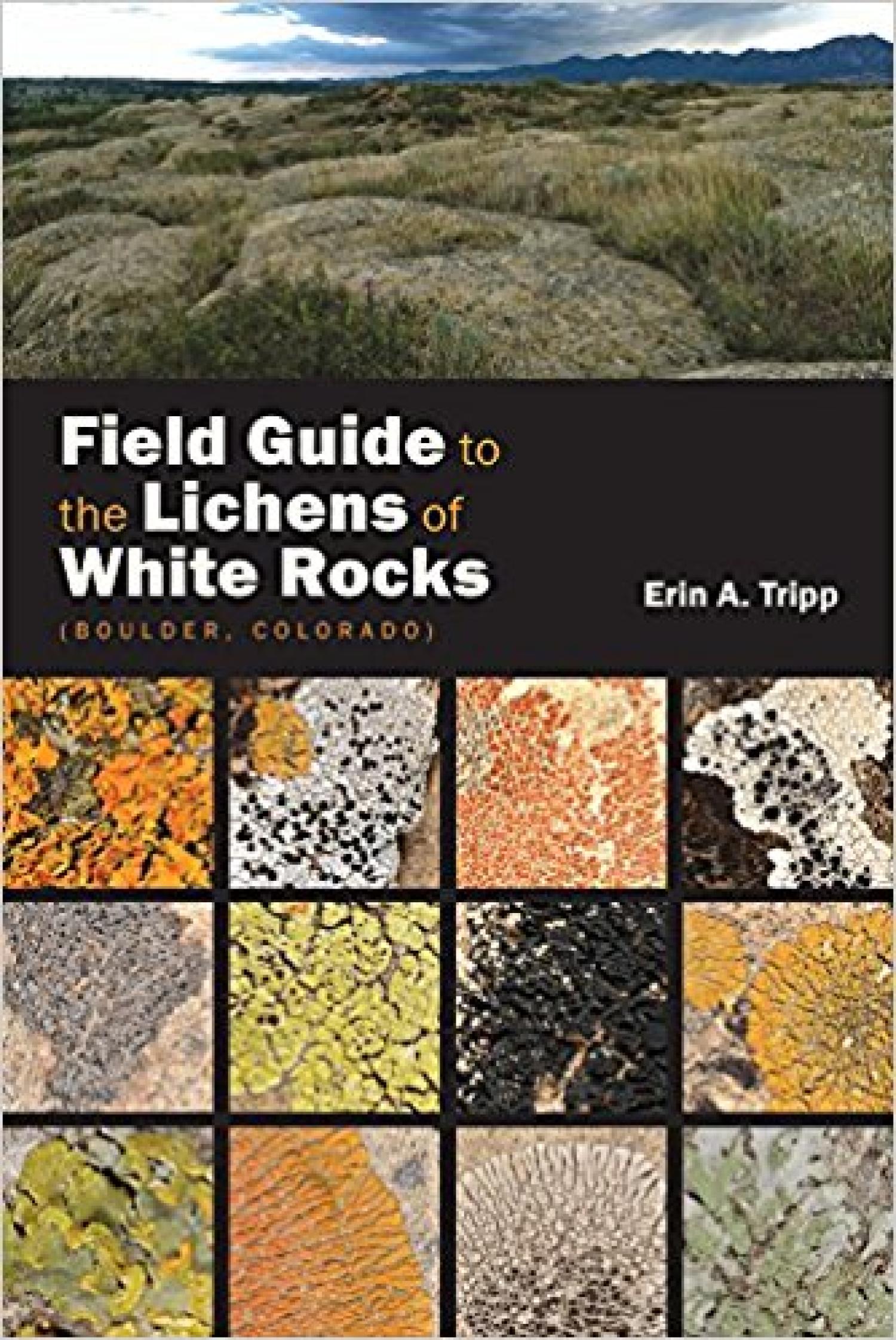 cover of lichens book