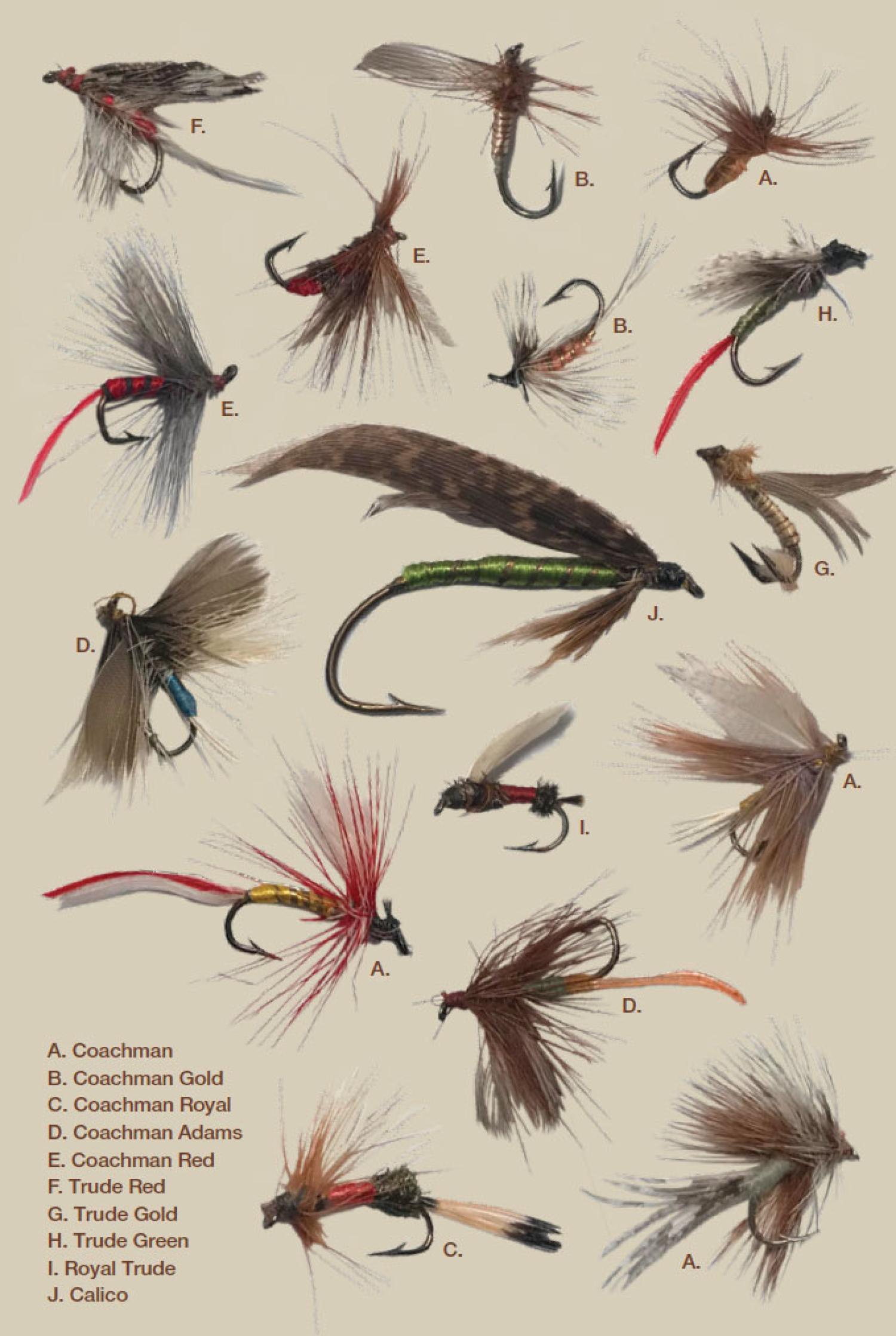 fishing flies