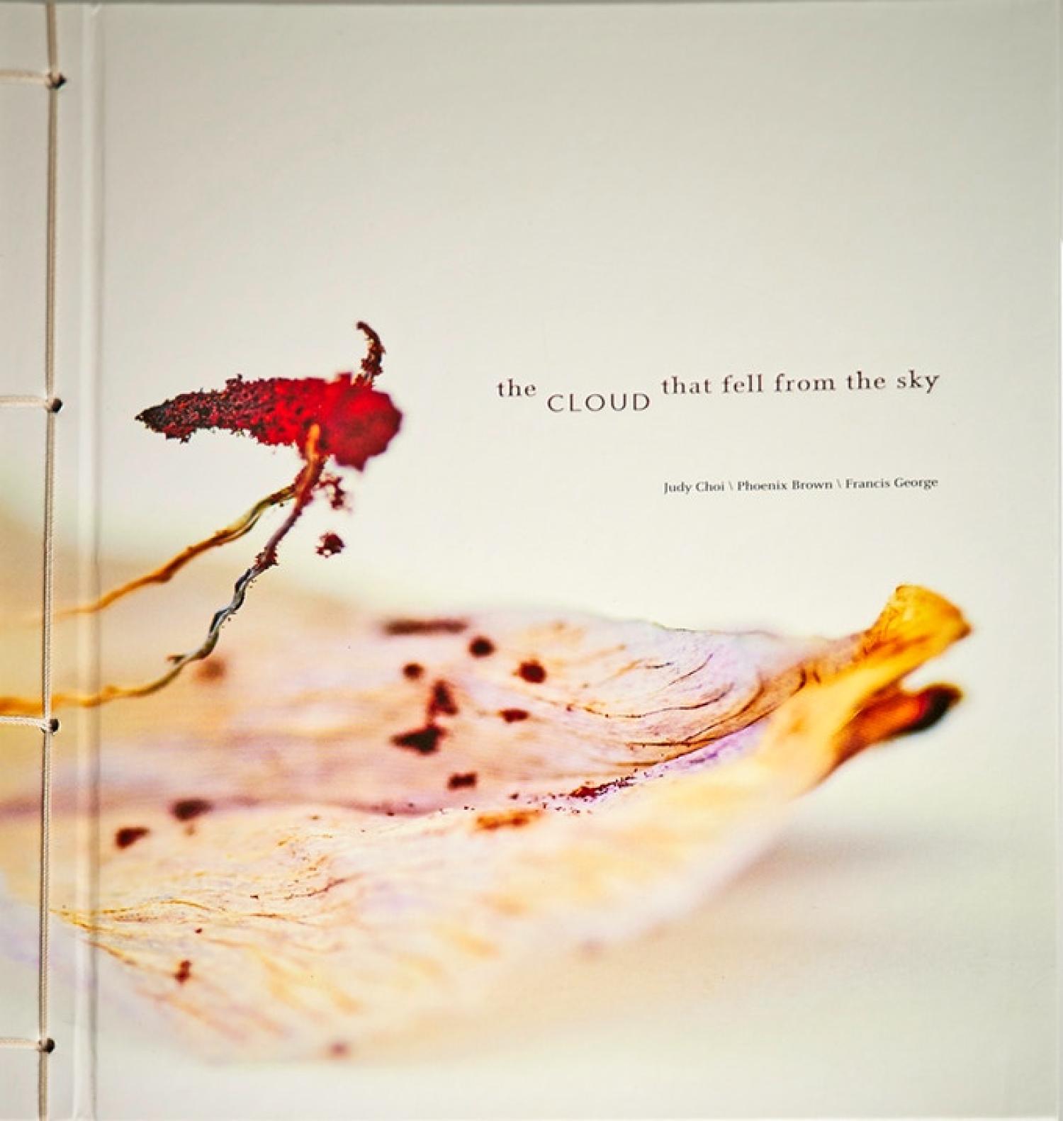 Book cover for "Cloud that fell from the Sky"