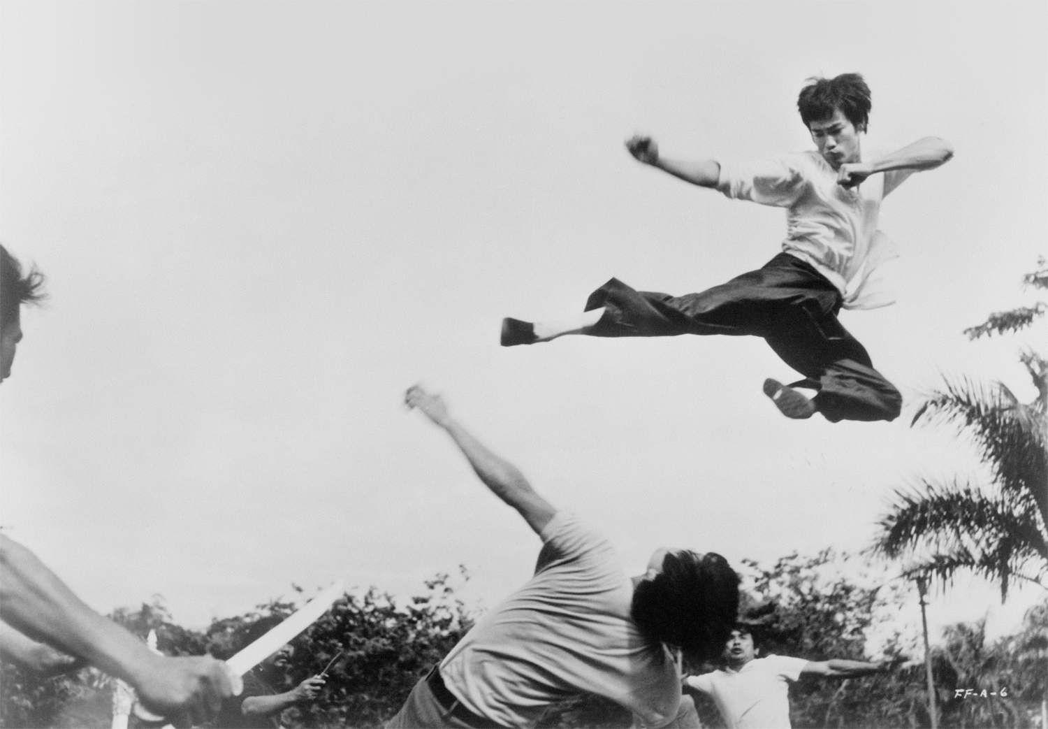 bruce lee