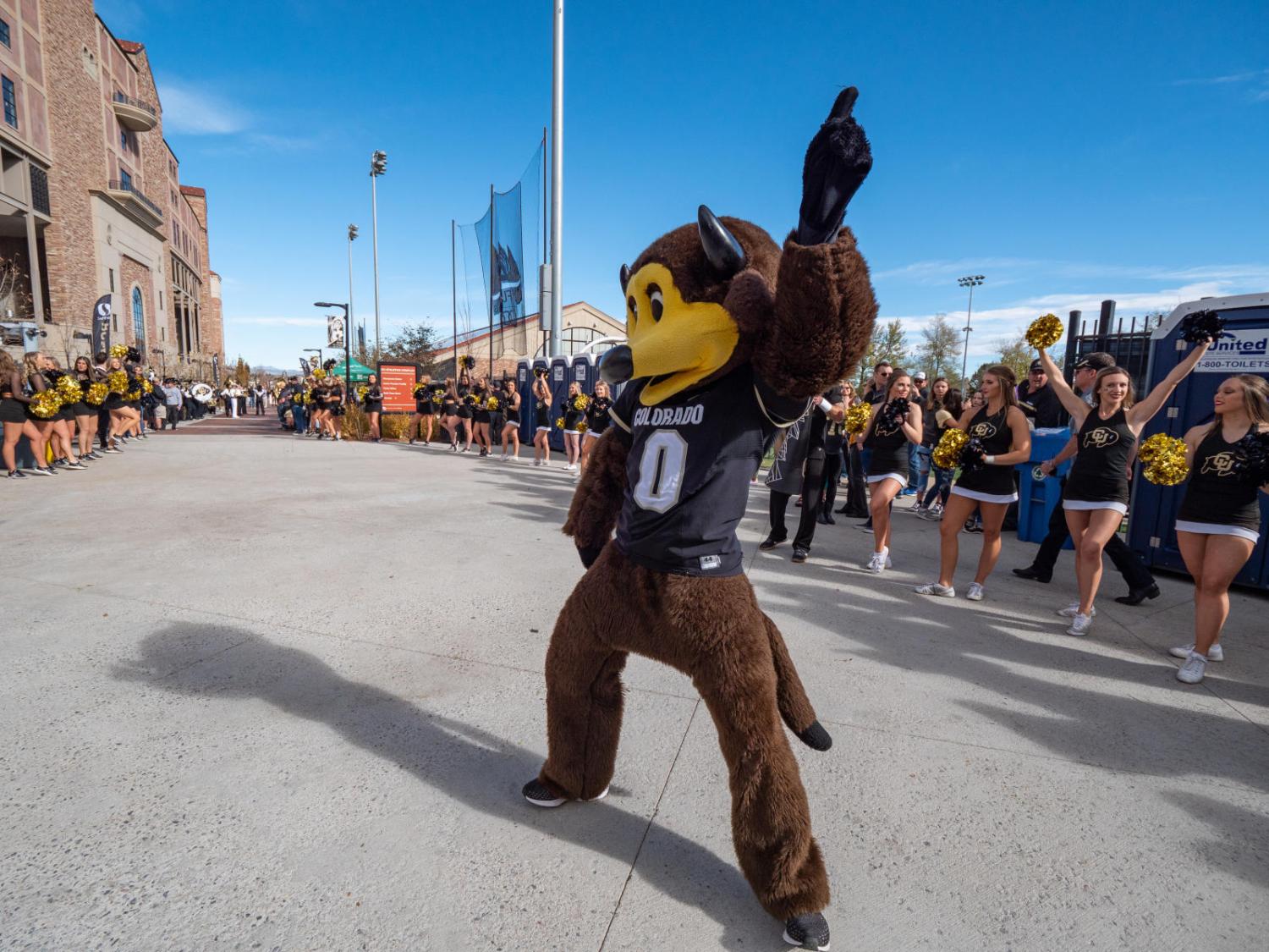 Chip dances outside Folsom Field at a Homecoming pregame.