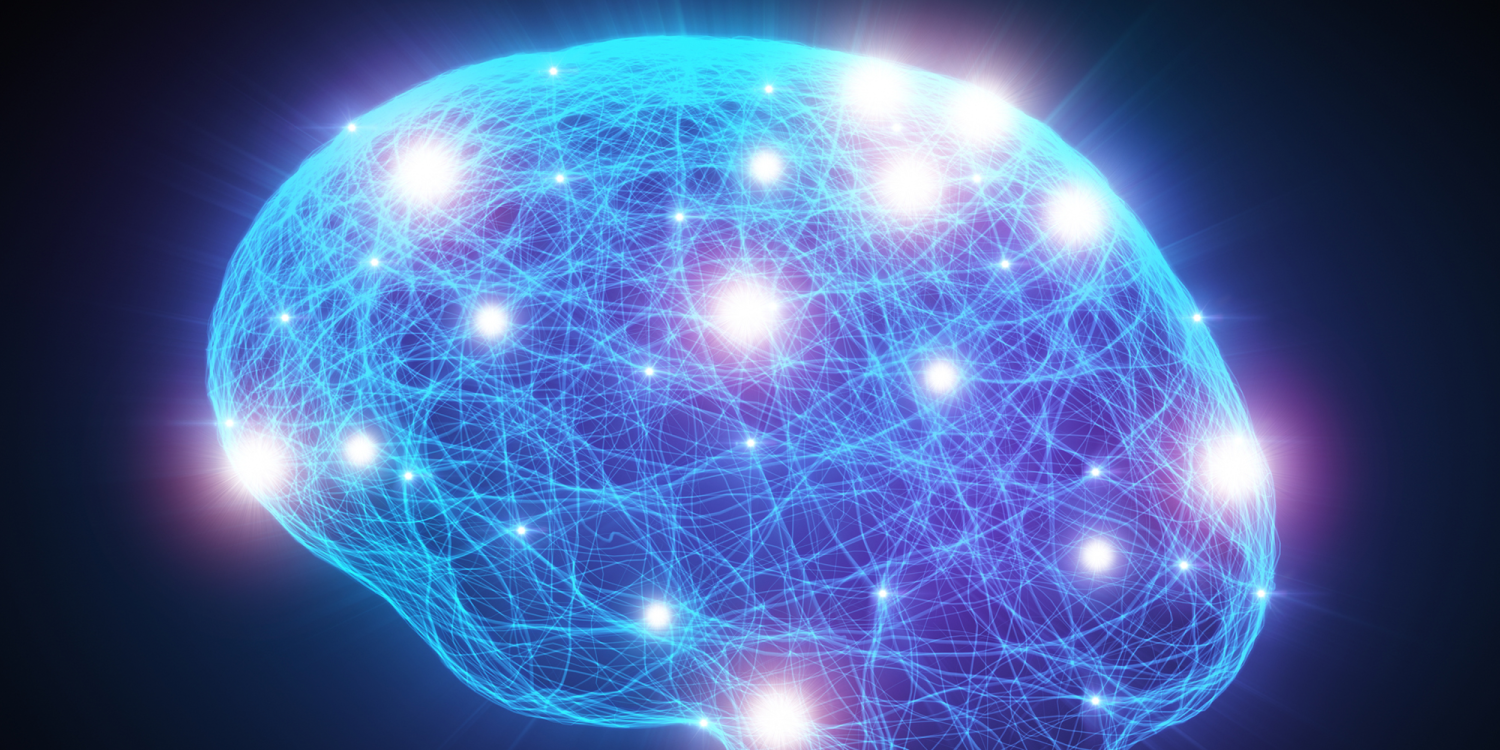 Image of the brain
