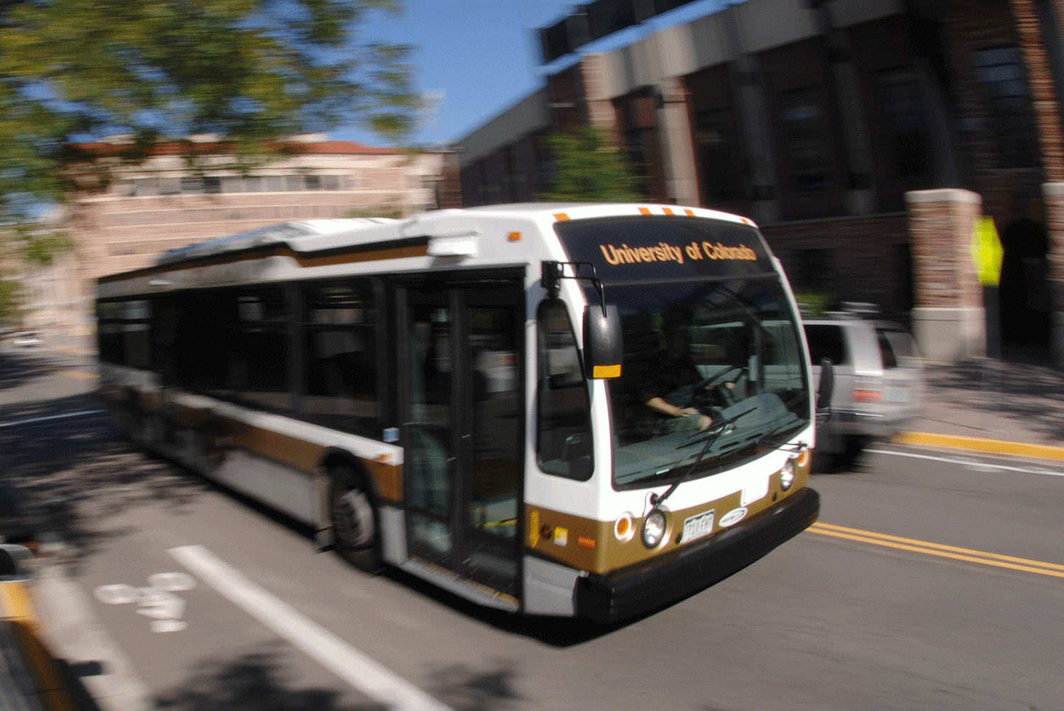 Buff Bus