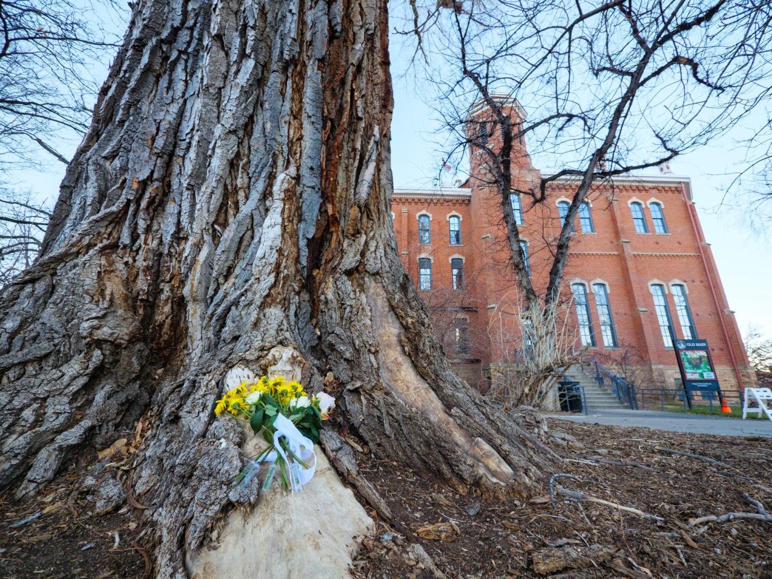 Old Main Cottonwood
