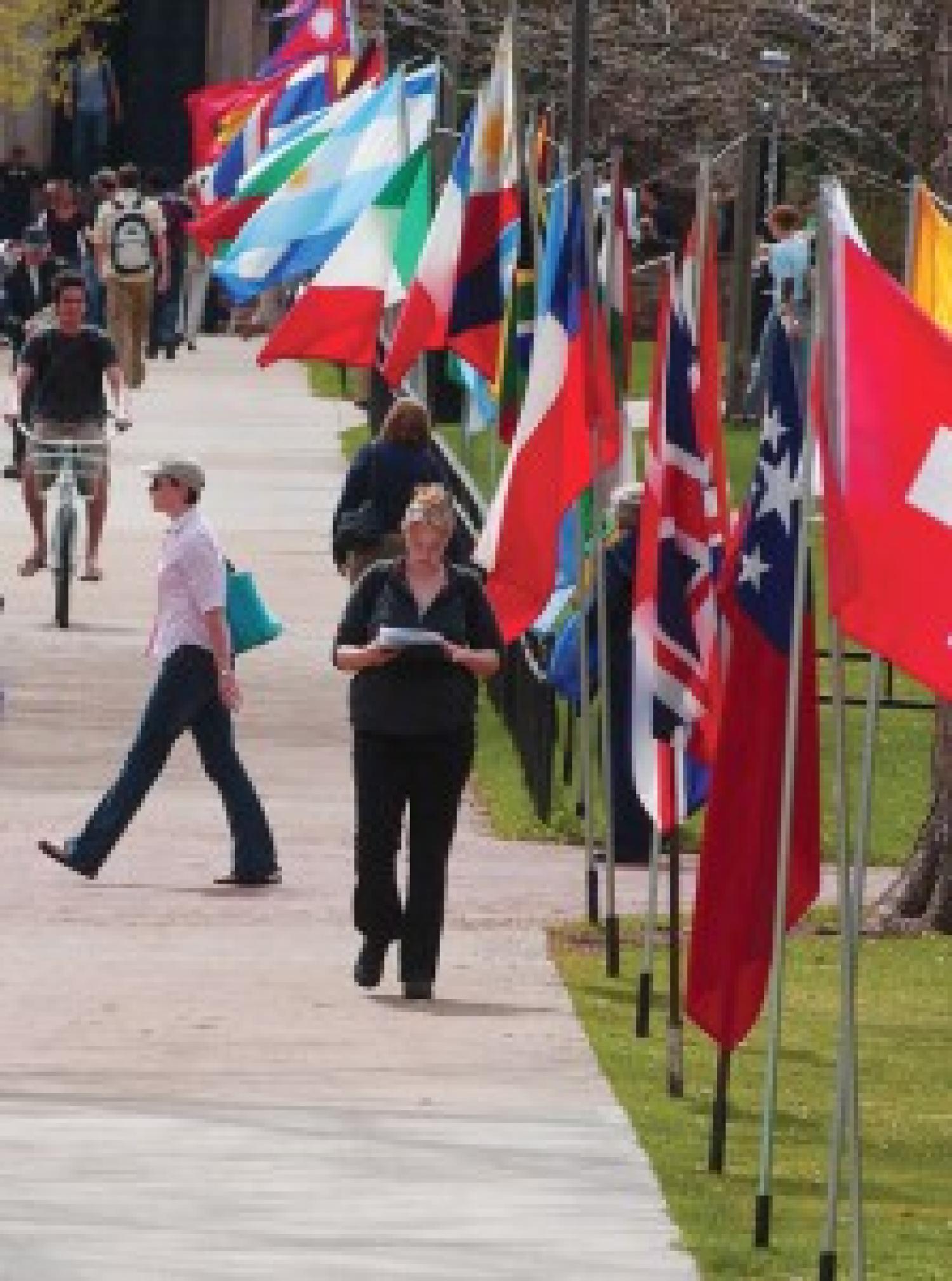 flags for conference world affairs